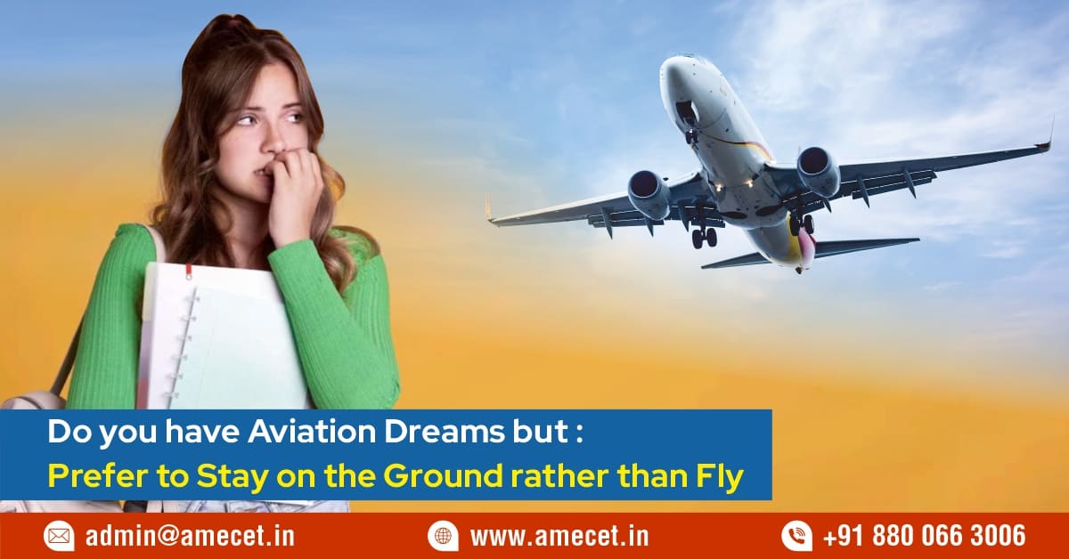 Do you have aviation dreams but prefer to stay on the ground rather than fly?