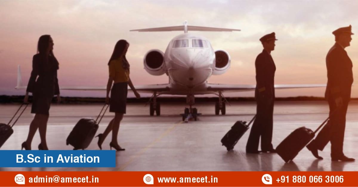 What Are the Core Subjects in a B.Sc in Aviation?