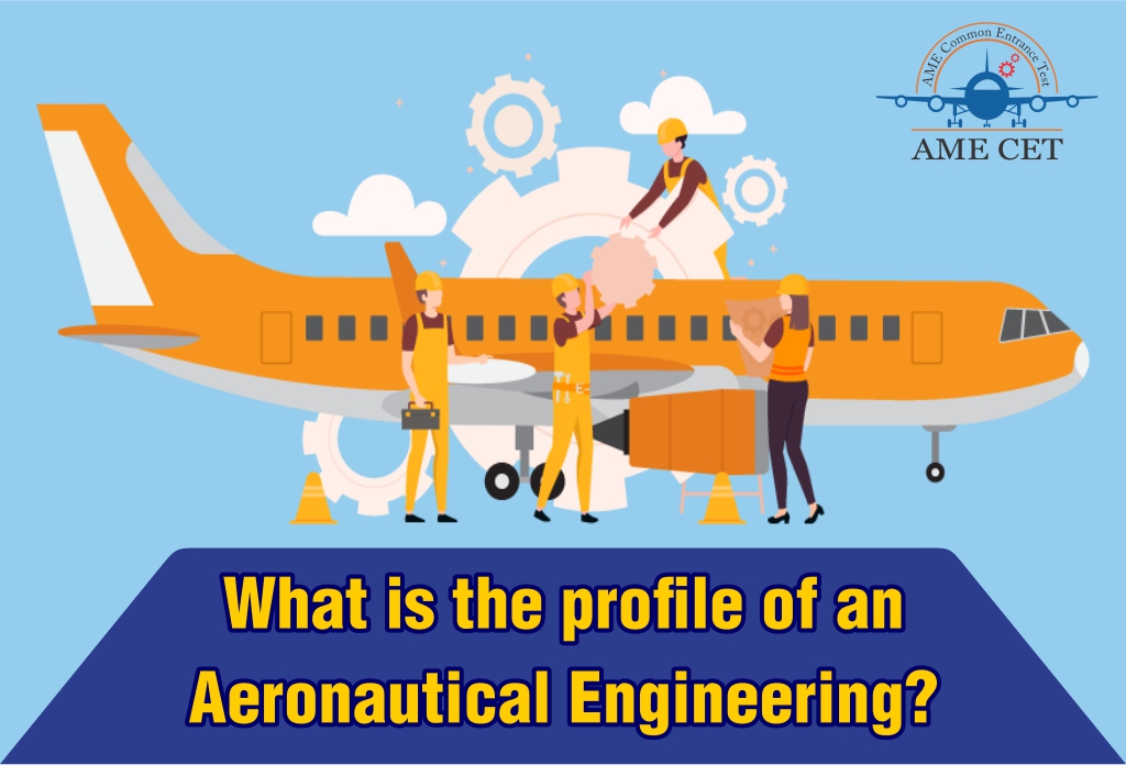 What is the profile of an Aeronautical Engineering?