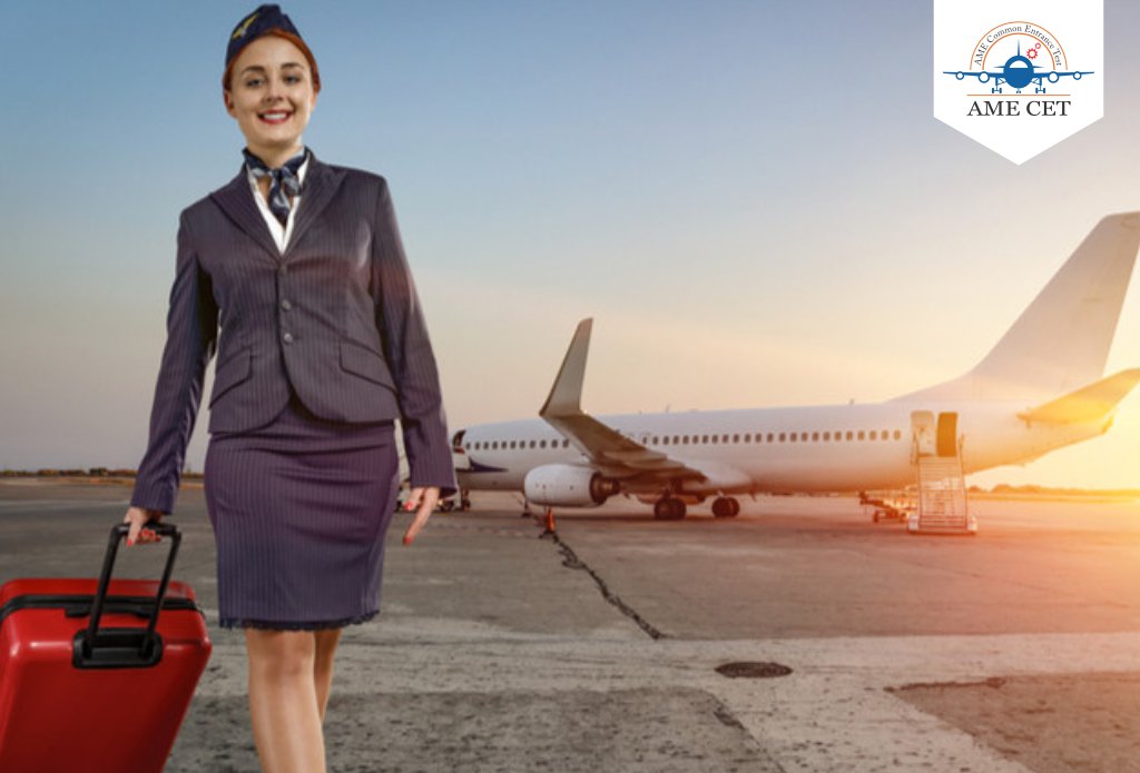 The Daily Life of a Flight Attendant